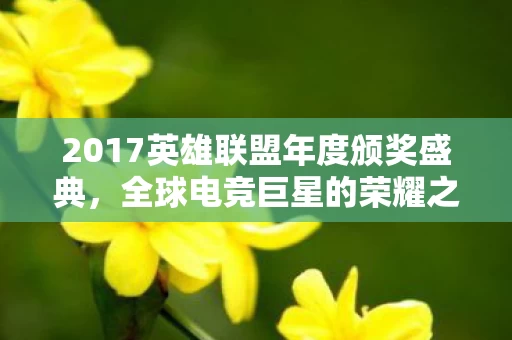 2017英雄联盟年度颁奖盛典图片