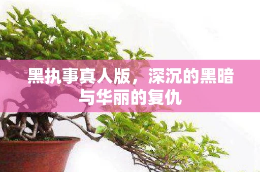 深沉的黑暗与华丽的复仇图片