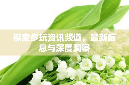 最新信息与深度洞察图片