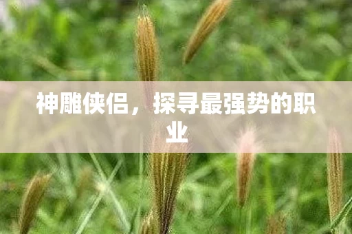 探寻最强势的职业图片