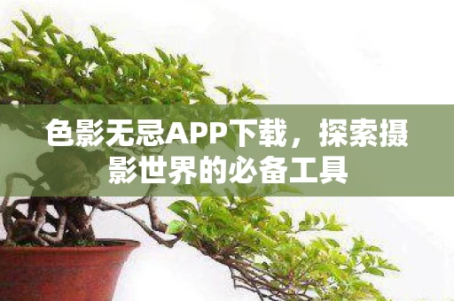 探索摄影世界的必备工具图片