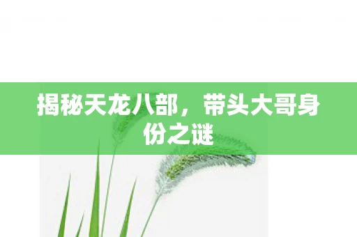 带头大哥身份之谜图片