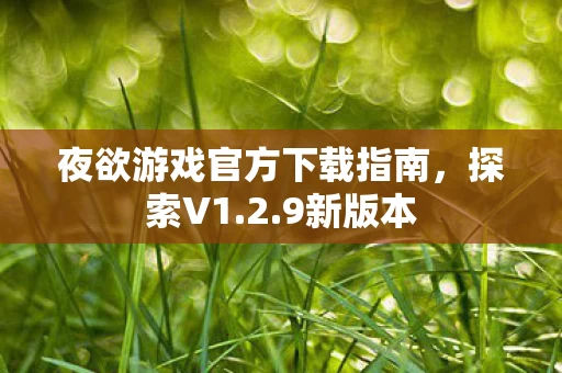 夜欲游戏官方下载指南图片