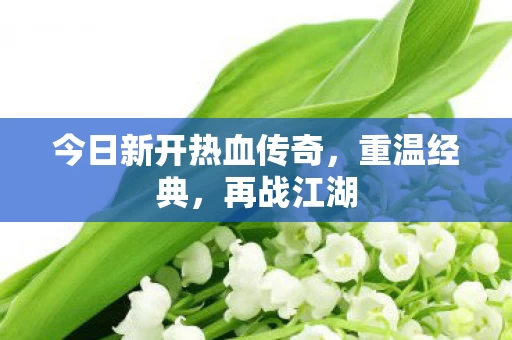 今日新开热血传奇图片