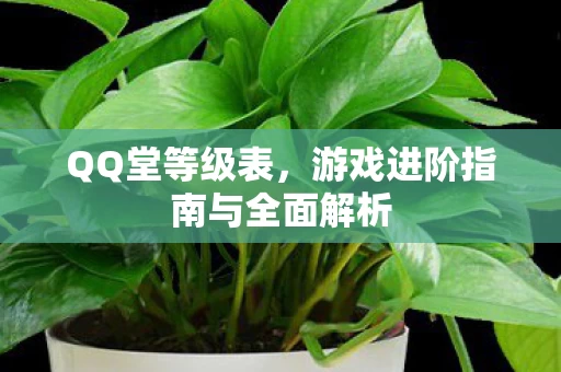 游戏进阶指南与全面解析图片