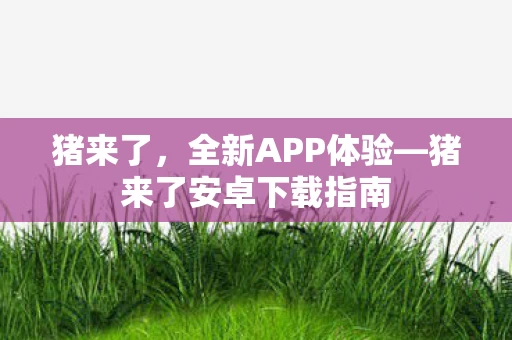 猪来了安卓下载指南图片
