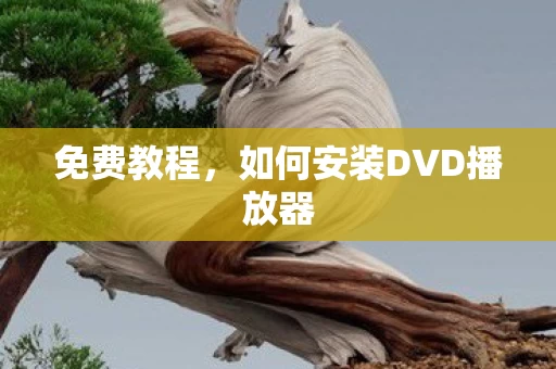如何安装DVD播放器图片