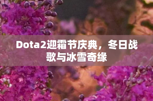 Dota2迎霜节庆典图片