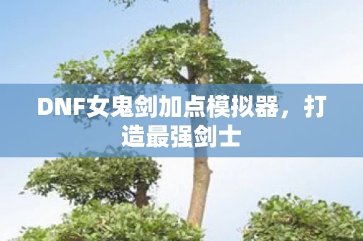 DNF女鬼剑加点模拟器图片