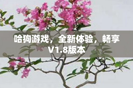 哈狗游戏图片