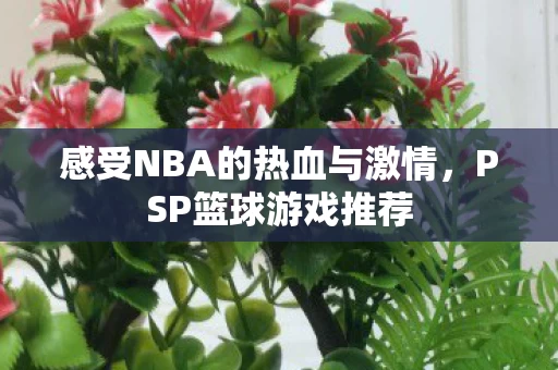 感受NBA的热血与激情图片