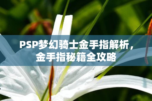 PSP梦幻骑士金手指解析图片
