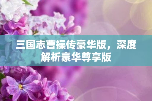 三国志曹操传豪华版图片