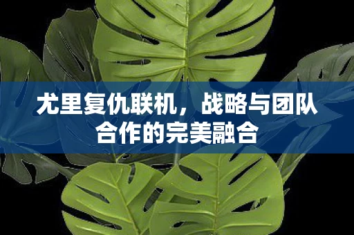战略与团队合作的完美融合图片