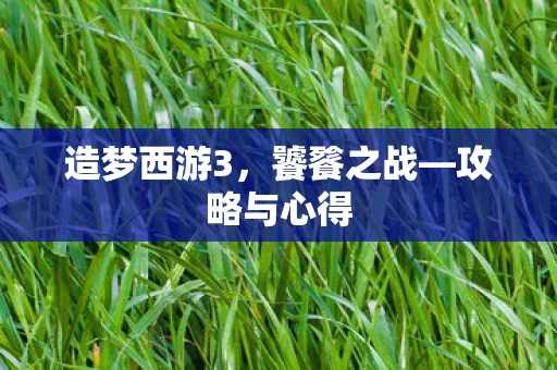 造梦西游3图片