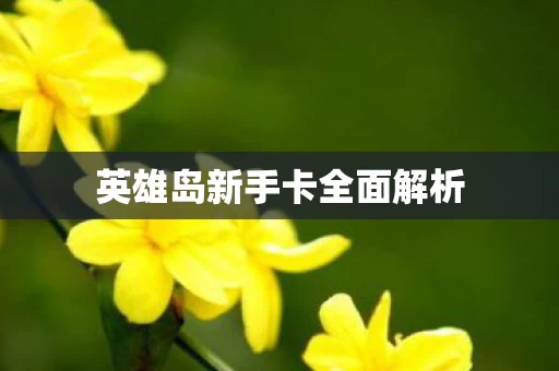 英雄岛新手卡全面解析图片