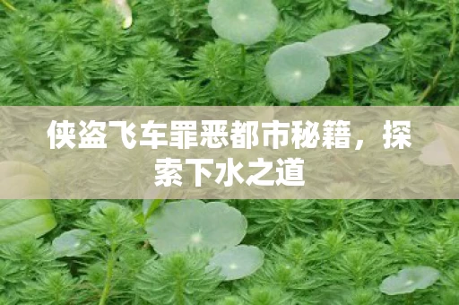 侠盗飞车罪恶都市秘籍图片