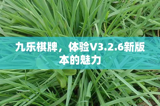 6新版本的魅力图片