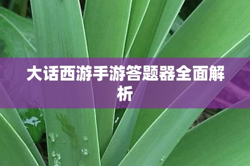 大话西游手游答题器全面解析图片