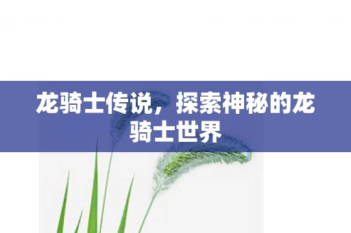 探索神秘的龙骑士世界图片