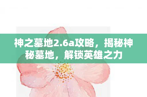 揭秘神秘墓地图片