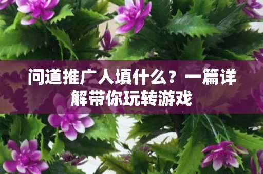 一篇详解带你玩转游戏图片