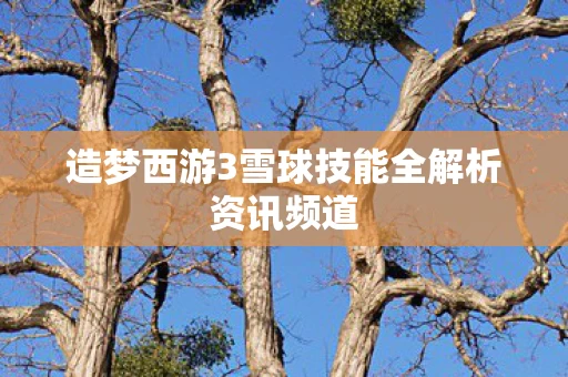 造梦西游3雪球技能全解析资讯频道图片