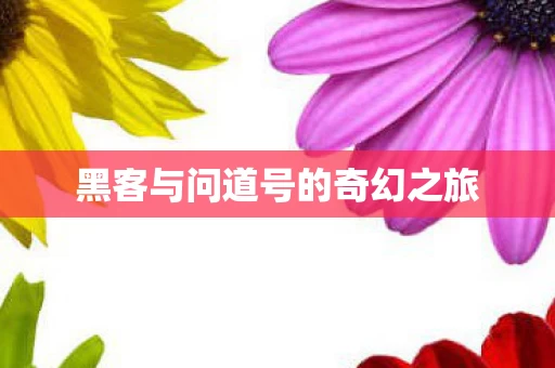 黑客与问道号的奇幻之旅图片