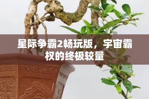 宇宙霸权的终极较量图片