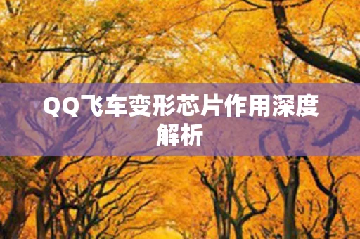QQ飞车变形芯片作用深度解析图片