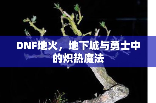地下城与勇士中的炽热魔法图片