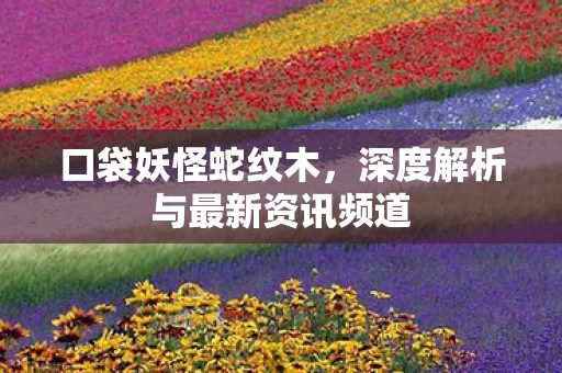 深度解析与最新资讯频道图片