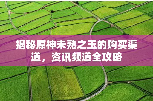 揭秘原神未熟之玉的购买渠道图片