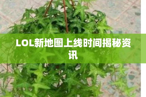 LOL新地图上线时间揭秘资讯图片