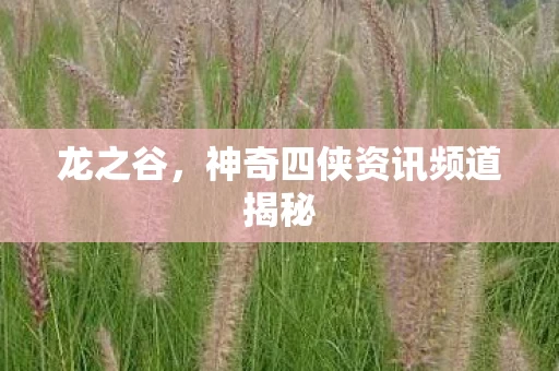 神奇四侠资讯频道揭秘图片