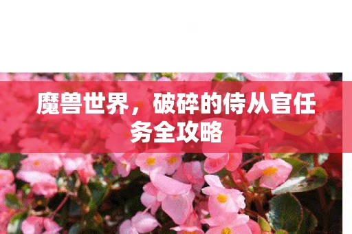 破碎的侍从官任务全攻略图片