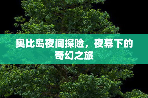 夜幕下的奇幻之旅图片