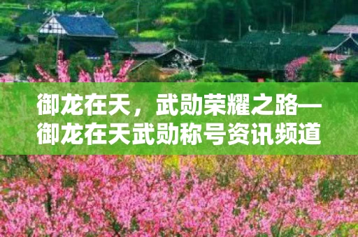 御龙在天武勋称号资讯频道图片