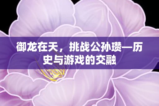 历史与游戏的交融图片