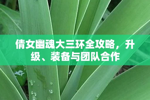 倩女幽魂大三环全攻略图片