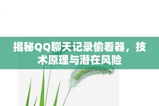 揭秘QQ聊天记录偷看器图片