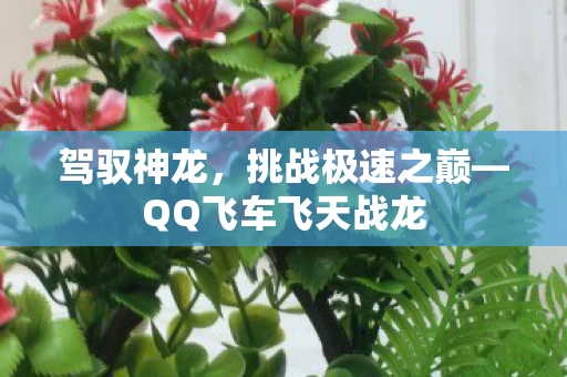 QQ飞车飞天战龙图片