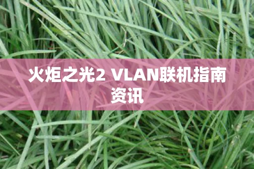 火炬之光2 VLAN联机指南资讯图片