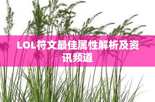 LOL符文最佳属性解析及资讯频道图片