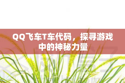 探寻游戏中的神秘力量图片