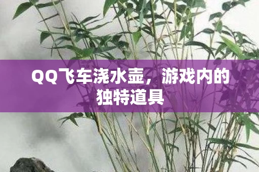 游戏内的独特道具图片