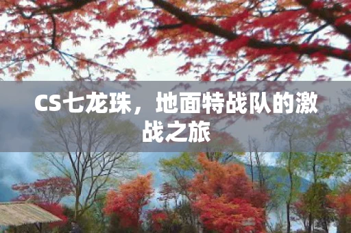 地面特战队的激战之旅图片
