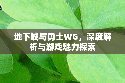 深度解析与游戏魅力探索图片