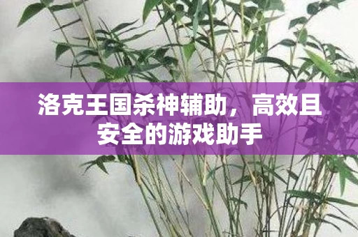 高效且安全的游戏助手图片