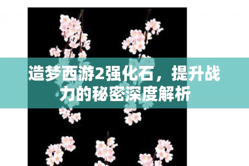 提升战力的秘密深度解析图片